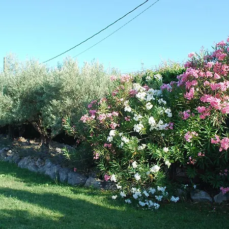 Provencal Villa, Luberon Park Villa Maubec (Vaucluse)
